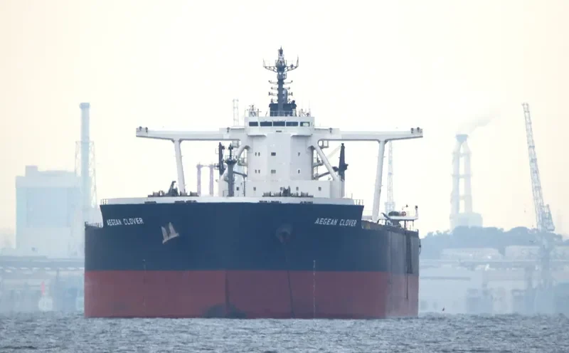 AEGEAN CLOVER Bulk Carrier IMO 9670066 photo 9