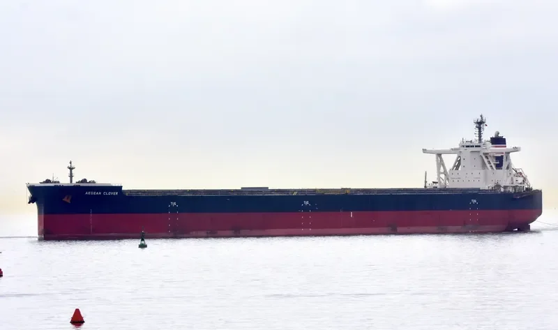 AEGEAN CLOVER Bulk Carrier IMO 9670066 photo 10