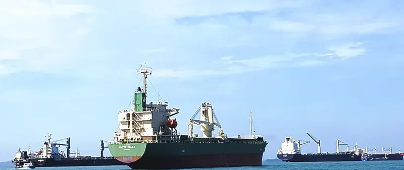 WHITE INABA General Cargo IMO 9670169 photo 6