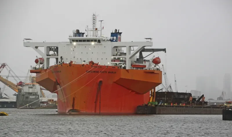 WHITE MARLIN General Cargo IMO 9670224 photo 2