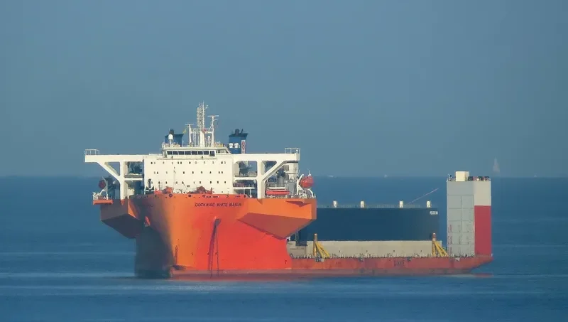 WHITE MARLIN General Cargo IMO 9670224 photo 3