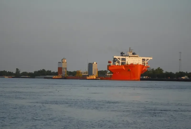 WHITE MARLIN General Cargo IMO 9670224 photo 10