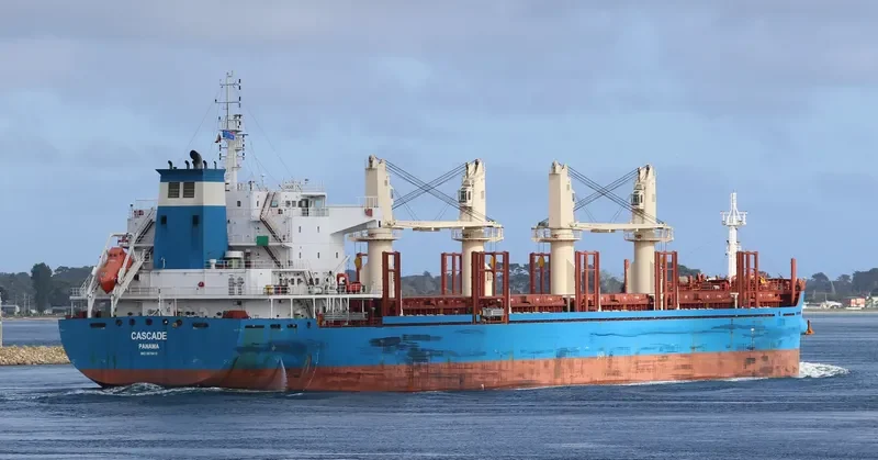 CS CELESTE Bulk Carrier IMO 9670418