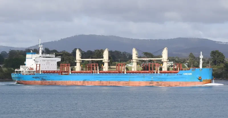 CS CELESTE Bulk Carrier IMO 9670418 photo 2