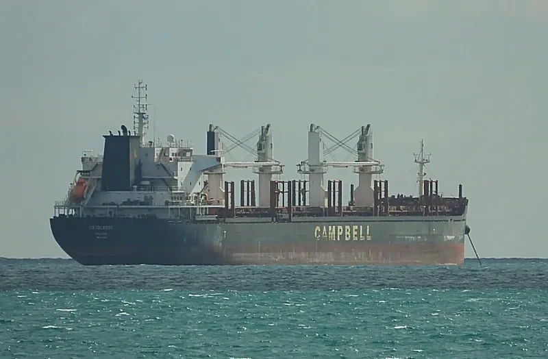CS CELESTE Bulk Carrier IMO 9670418 photo 6