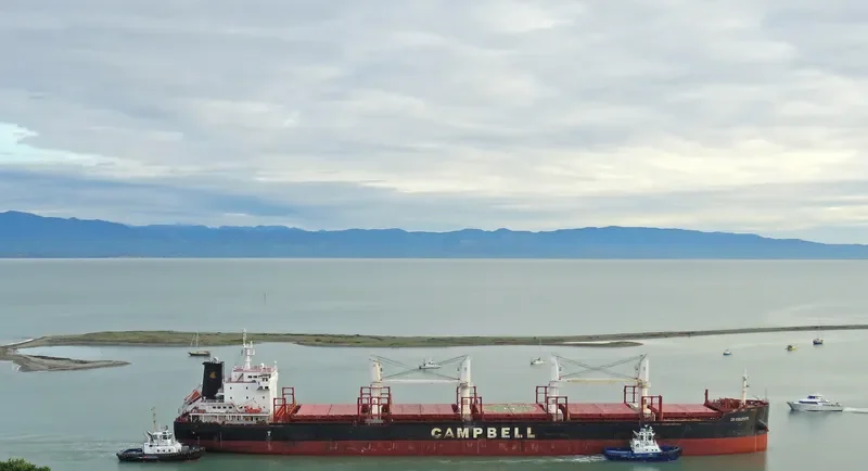 CS CELESTE Bulk Carrier IMO 9670418 photo 7