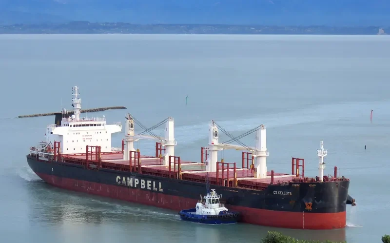 CS CELESTE Bulk Carrier IMO 9670418 photo 8