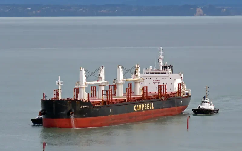 CS CELESTE Bulk Carrier IMO 9670418 photo 10