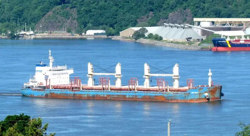 BEN NEVIS Bulk Carrier IMO 9670420 photo 10