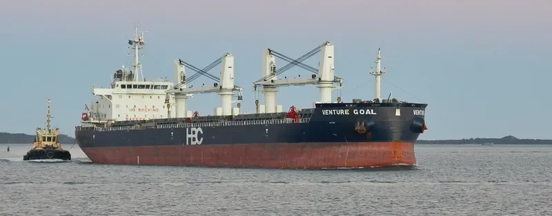 VENTURE GOAL Bulk Carrier IMO 9670731