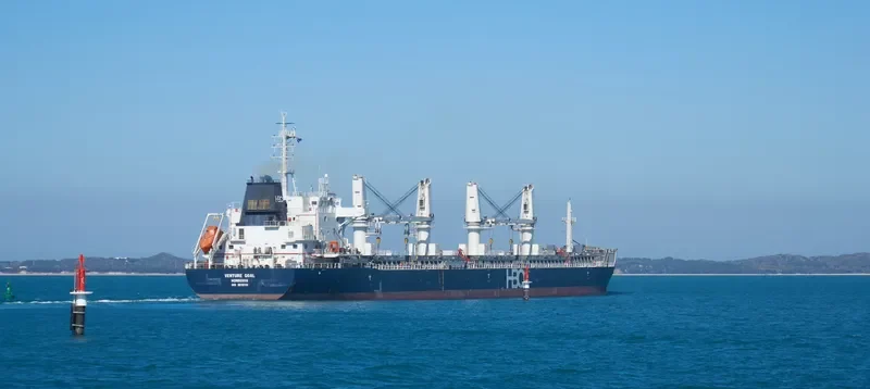 VENTURE GOAL Bulk Carrier IMO 9670731 photo 3