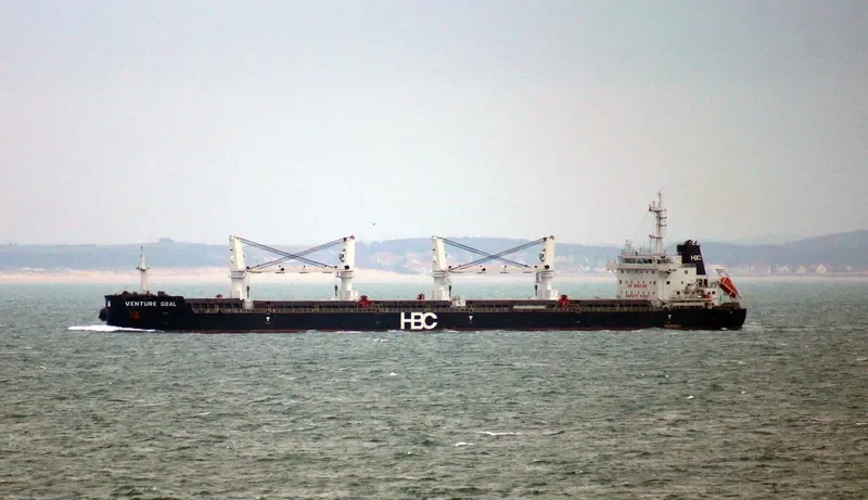 VENTURE GOAL Bulk Carrier IMO 9670731 photo 6