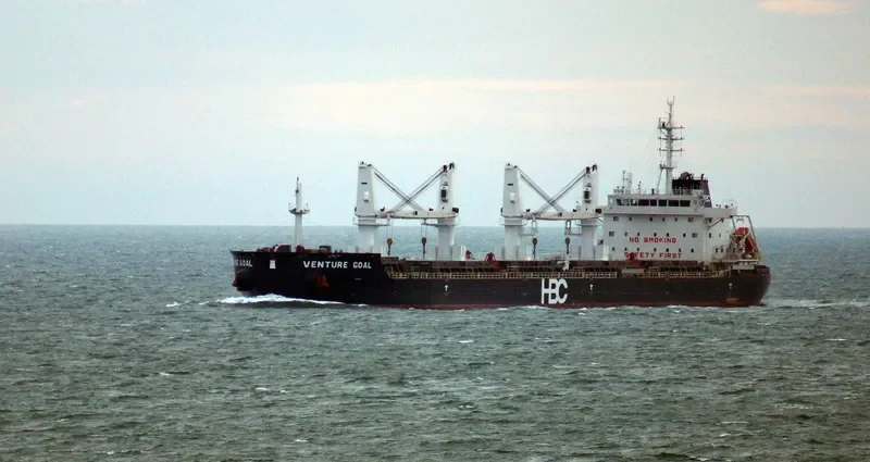 VENTURE GOAL Bulk Carrier IMO 9670731 photo 7