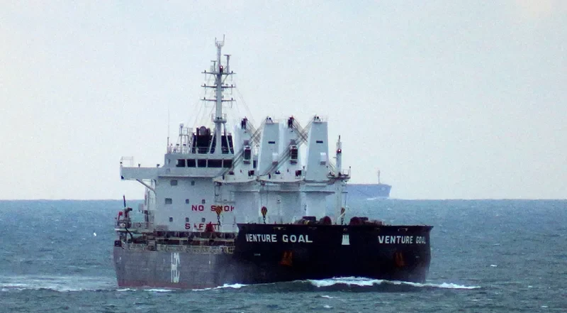 VENTURE GOAL Bulk Carrier IMO 9670731 photo 9
