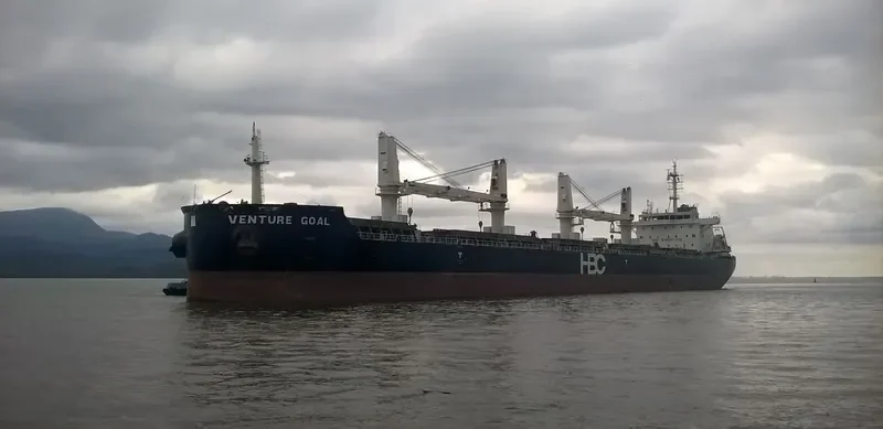 VENTURE GOAL Bulk Carrier IMO 9670731 photo 10