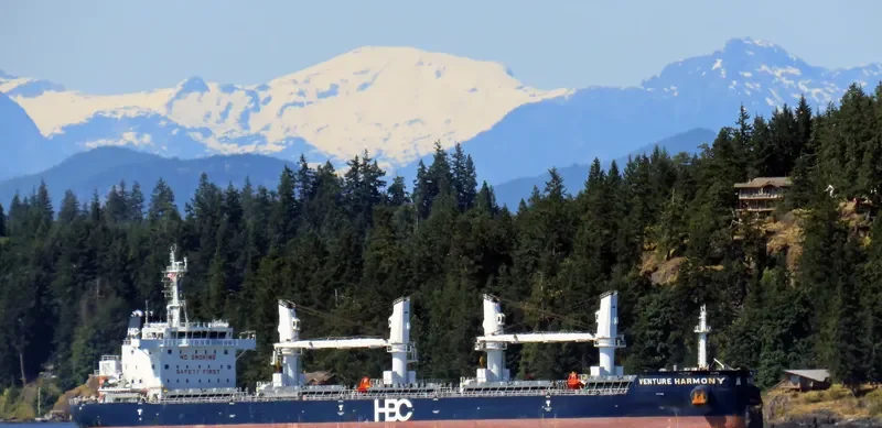 VENTURE HARMONY Bulk Carrier IMO 9670755 photo 2
