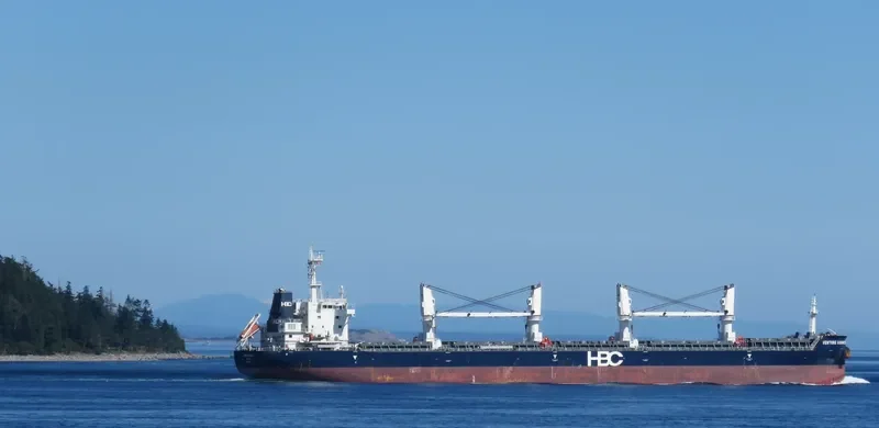 VENTURE HARMONY Bulk Carrier IMO 9670755 photo 3