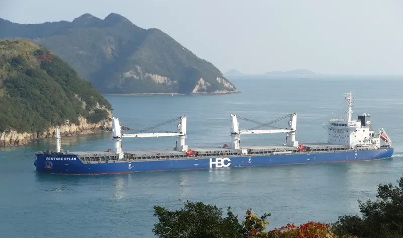 VENTURE DYLAN Bulk Carrier IMO 9670767 photo 8