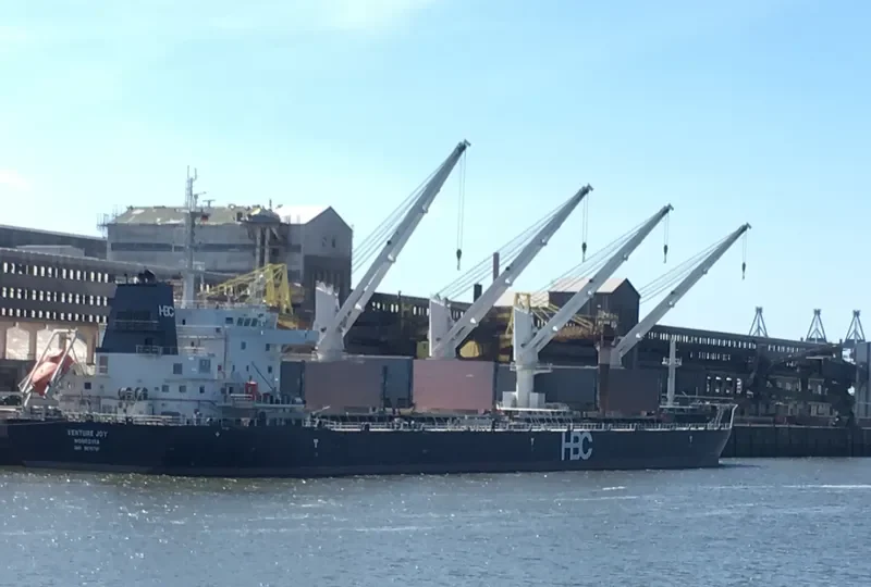 VENTURE JOY Bulk Carrier IMO 9670781