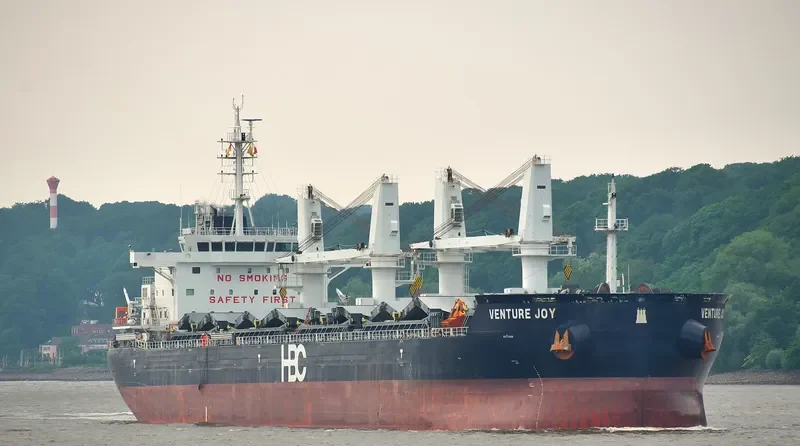VENTURE JOY Bulk Carrier IMO 9670781 photo 3