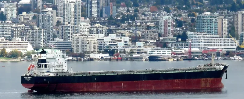 ZHONG CHANG ZHOU SHAN Bulk Carrier IMO 9670808