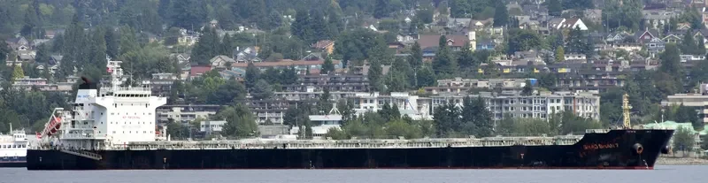 ZHONG CHANG ZHOU SHAN Bulk Carrier IMO 9670808 photo 3