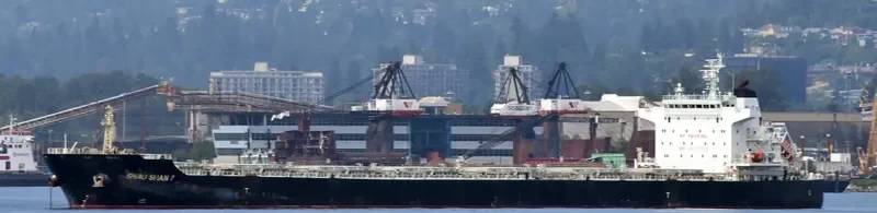 ZHONG CHANG ZHOU SHAN Bulk Carrier IMO 9670808 photo 4