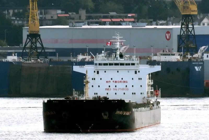 ZHONG CHANG ZHOU SHAN Bulk Carrier IMO 9670808 photo 5