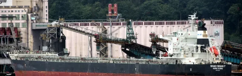 ZHONG CHANG ZHOU SHAN Bulk Carrier IMO 9670808 photo 6