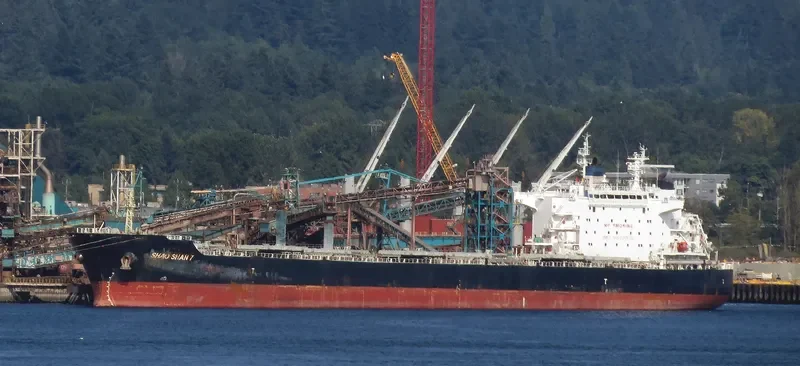 ZHONG CHANG ZHOU SHAN Bulk Carrier IMO 9670808 photo 7