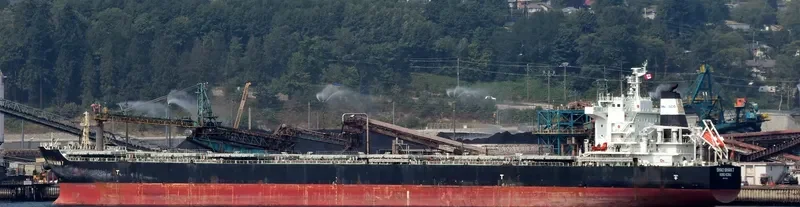 ZHONG CHANG ZHOU SHAN Bulk Carrier IMO 9670808 photo 8