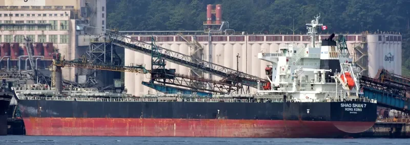 ZHONG CHANG ZHOU SHAN Bulk Carrier IMO 9670808 photo 9