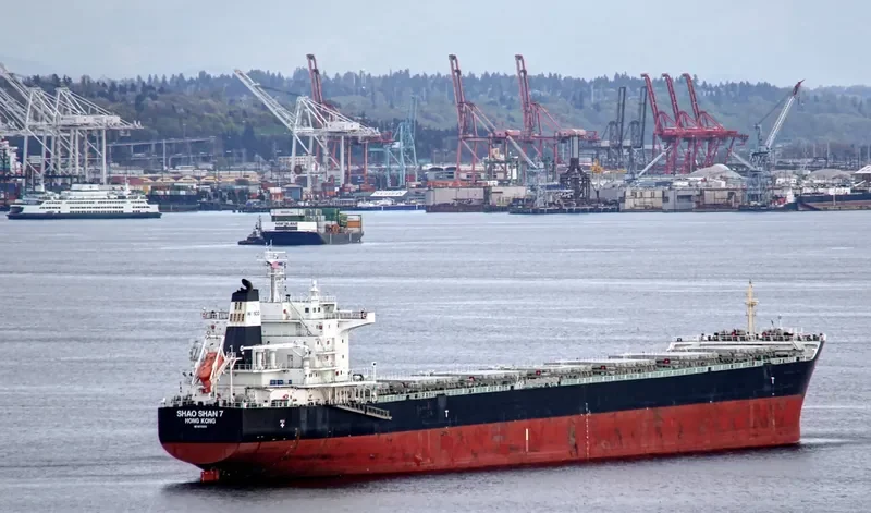 ZHONG CHANG ZHOU SHAN Bulk Carrier IMO 9670808 photo 10