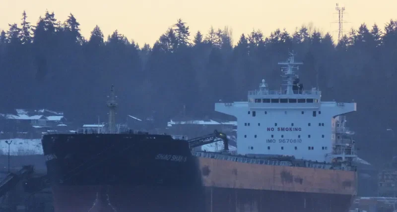 SHAO SHAN 8 Bulk Carrier IMO 9670810
