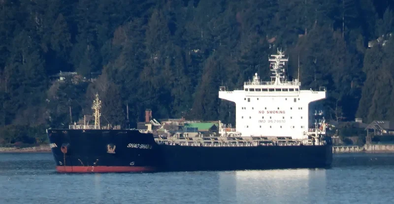 SHAO SHAN 8 Bulk Carrier IMO 9670810 photo 2