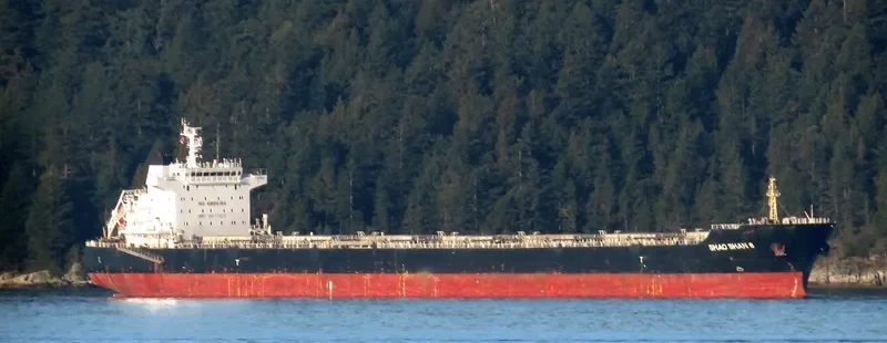 SHAO SHAN 8 Bulk Carrier IMO 9670810 photo 3