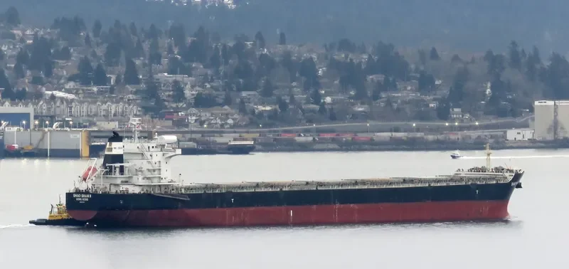 SHAO SHAN 8 Bulk Carrier IMO 9670810 photo 4
