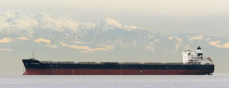 SHAO SHAN 8 Bulk Carrier IMO 9670810 photo 5