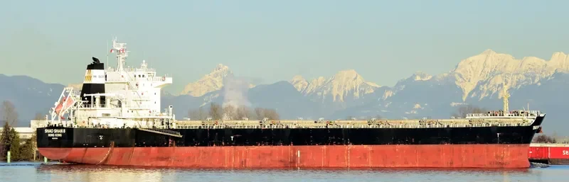 SHAO SHAN 8 Bulk Carrier IMO 9670810 photo 6