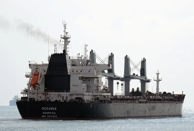 OCEANUS Bulk Carrier IMO 9670925 photo 2