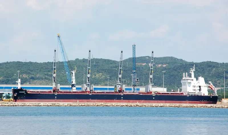 OCEANUS Bulk Carrier IMO 9670925 photo 7