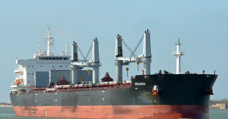 OCEANUS Bulk Carrier IMO 9670925 photo 8