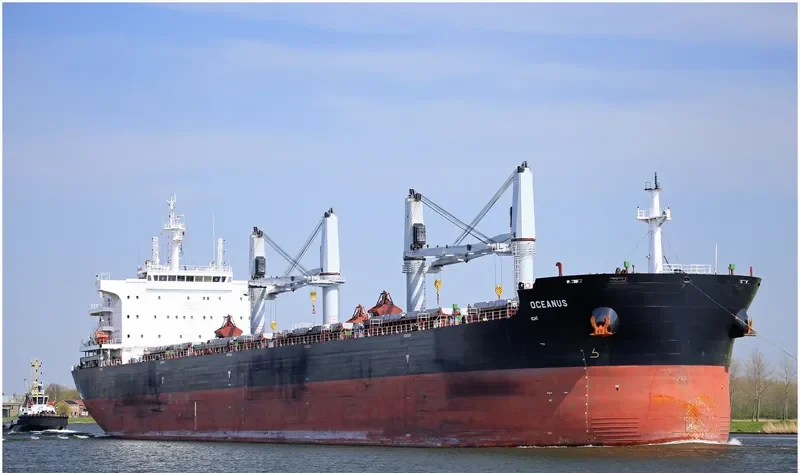 OCEANUS Bulk Carrier IMO 9670925 photo 9