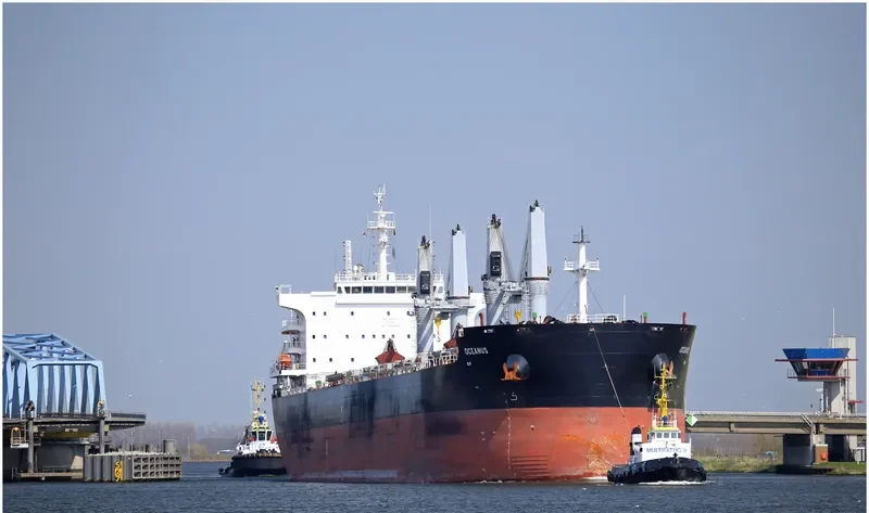 OCEANUS Bulk Carrier IMO 9670925 photo 10