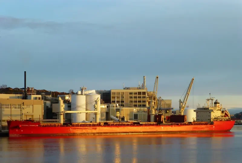 FEDERAL CHAMPLAIN Bulk Carrier IMO 9671058 photo 2