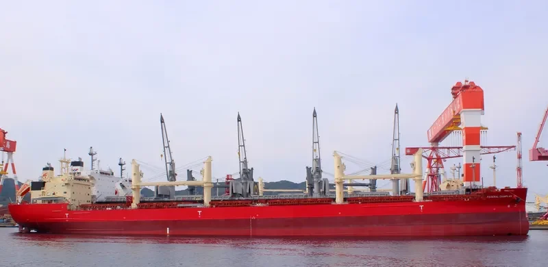 FEDERAL CHAMPLAIN Bulk Carrier IMO 9671058 photo 8