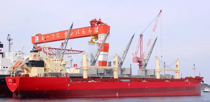 FEDERAL CHAMPLAIN Bulk Carrier IMO 9671058 photo 9