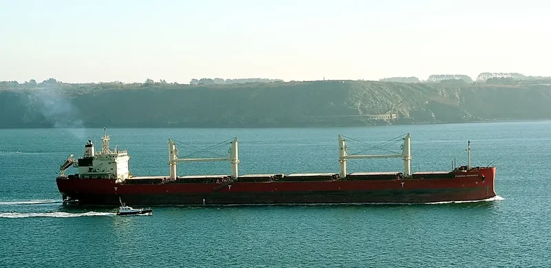 FEDERAL CHURCHILL Bulk Carrier IMO 9671060 photo 8