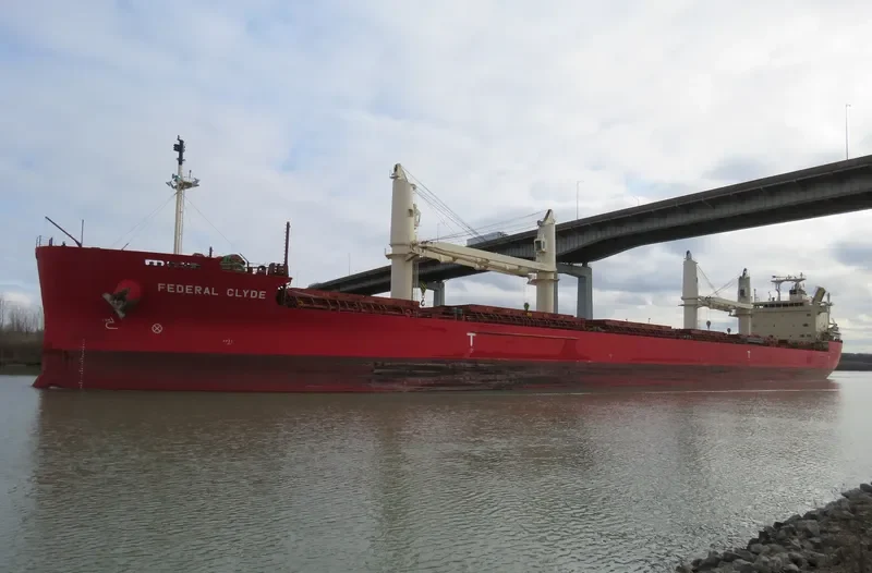 FEDERAL CLYDE Bulk Carrier IMO 9671072 photo 3