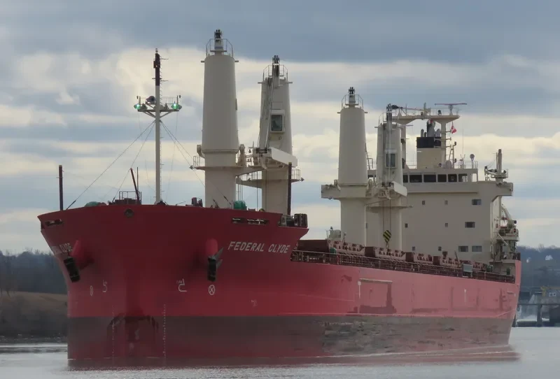 FEDERAL CLYDE Bulk Carrier IMO 9671072 photo 4